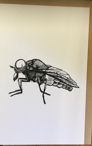 Deer Fly card