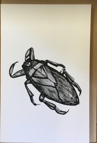 The Giant Water Bug card